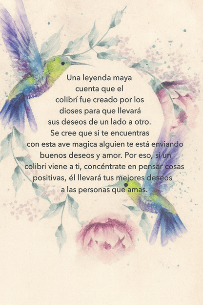 Gargantilla Colibrí en Plata .925